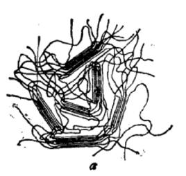 無定形高聚物 無定形高聚物