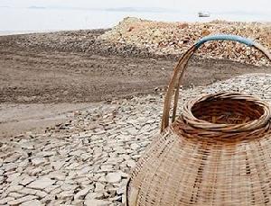 （圖）行將消逝的泥塗