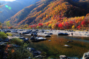 本溪滿族自治縣