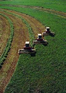 土地分級 土地分級