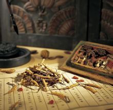 陳氏御暈術 陳氏御暈術