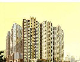 金色梧桐 金色梧桐