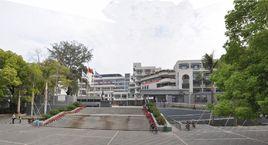 蛇口學校國小部 蛇口學校國小部