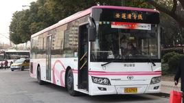 蓮漕專線 蓮漕專線