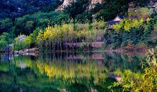 青島藏馬山鄉村（國際）生態旅遊度假區