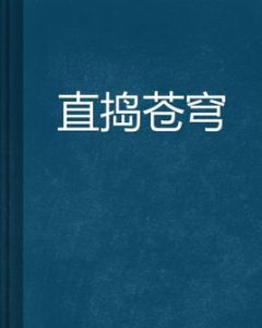直搗蒼穹 直搗蒼穹