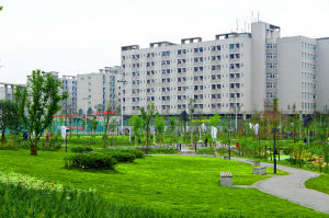 重慶大學城市科技學院 -校園風光