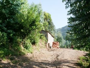 中和鋪村 中和鋪村