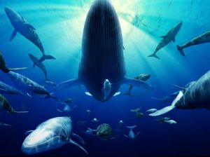 海昌鯨鯊館