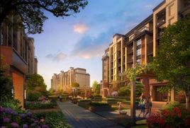 澤科港城國際 澤科港城國際