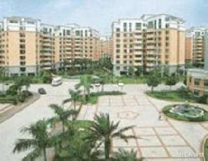 康達爾花園二期 康達爾花園二期