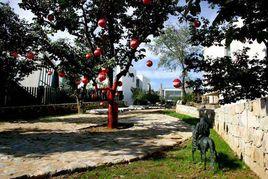 上苑藝術館 上苑藝術館