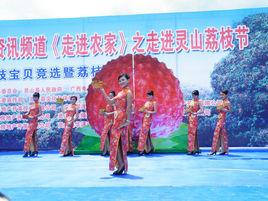 靈山荔枝節 靈山荔枝節