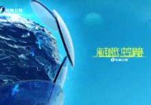 東南衛視節目開心100