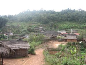 大路中上寨村 大路中上寨村