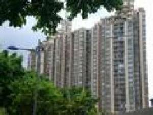 締夢園一期 締夢園一期