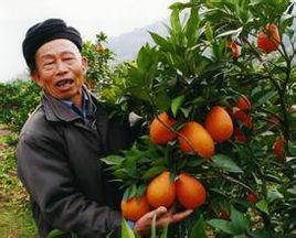 張家莊鎮 張家莊鎮