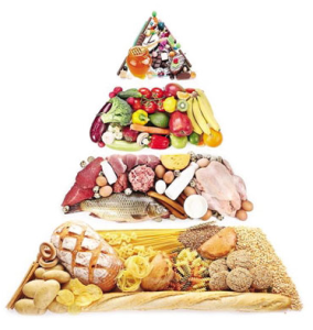 食物排除療法 食物排除療法