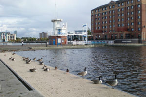 曼徹斯特通海運河 曼徹斯特通海運河