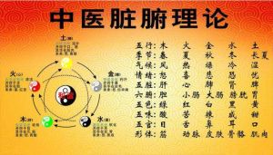 中醫學理論體系