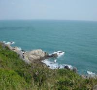 金龜探海 金龜探海