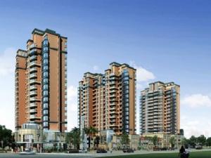 百合國際花園 百合國際花園