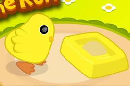 小雞吃米 小雞吃米