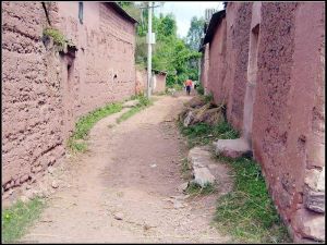 蔡家下河村 蔡家下河村