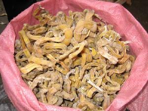 油房自然村[雲南昭通彝良縣龍海鄉鎮河村村委油房自然村]