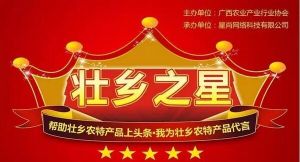 壯鄉之星 壯鄉之星