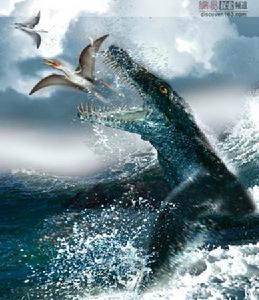 貴州地質博物館