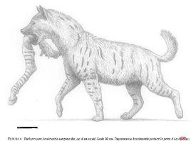 桑氏碩鬣狗 桑氏碩鬣狗