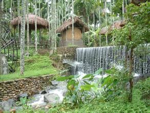 甘什嶺檳榔園 甘什嶺檳榔園
