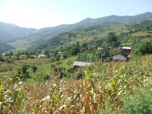 直捷大小自然村 直捷大小自然村