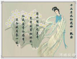 花神[中國民間文化花神]