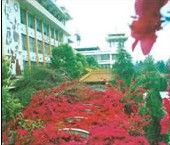 四川省涼山民族中學 四川省涼山民族中學