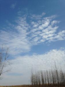 西太溝村自然環境