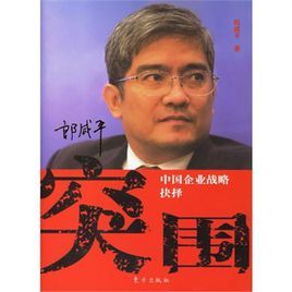 突圍：中國企業戰略抉擇