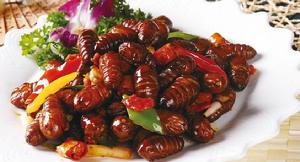 清鹵蠶蛹 清鹵蠶蛹