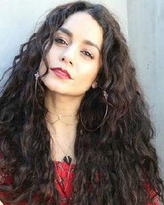 凡妮莎·哈金斯