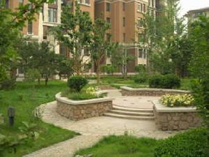 隆基藍海灣 隆基藍海灣