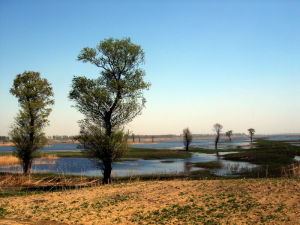 大麥科濕地自然保護區 大麥科濕地自然保護區