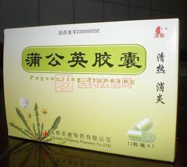 蒲公英膠囊 蒲公英膠囊