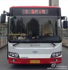 松江1路 松江1路