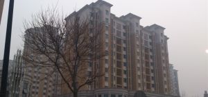 馨視界&middot;花城