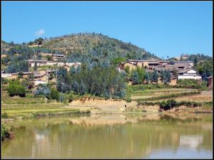 青豐小坡村 青豐小坡村