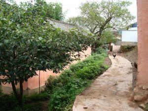 芭蕉塘自然村 芭蕉塘自然村