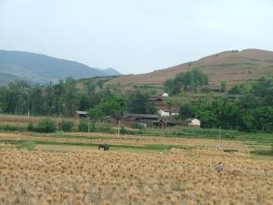 白蓮自然村 白蓮自然村