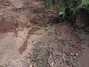 桐子坪村 桐子坪村