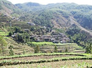 東興家疃村 東興家疃村
